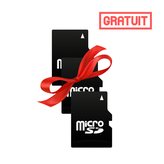 Cartes SD 32Go - 3 unités
