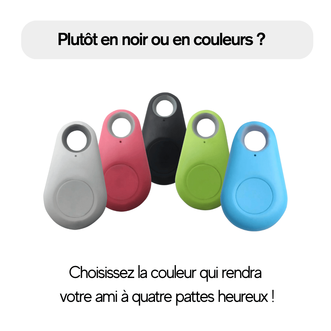 Localisateur GPS Pratique pour Chat et Chien - Havenbridges - HAVENBRIDGES