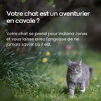 GPS Pour Chat Sans Abonnement - Parallax