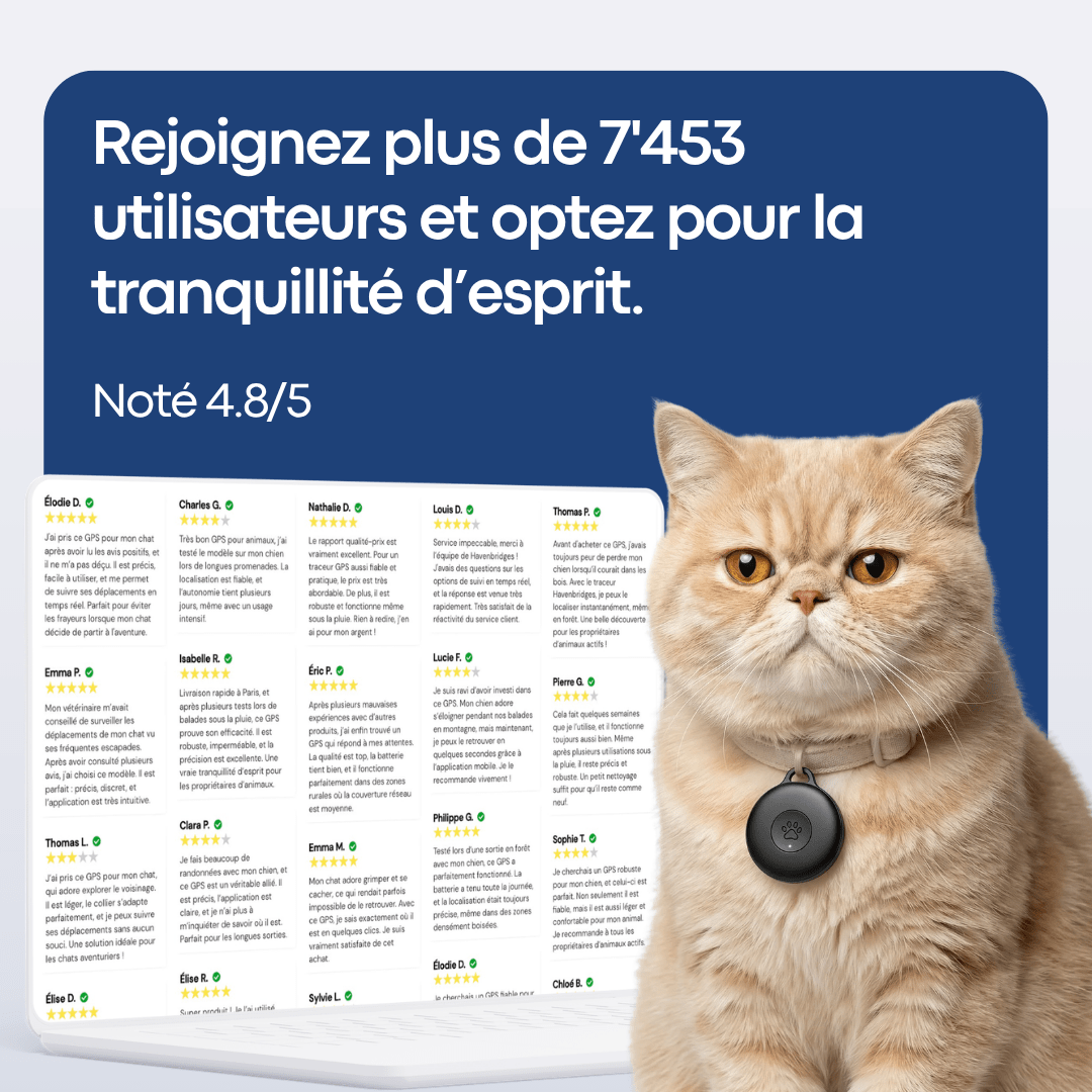 GPS Pour Chat Sans Abonnement - Parallax - Parallax