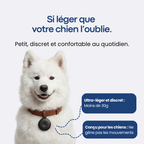 Traceur GPS Chien sans Abonnement - Parallax - Parallax