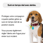 Traceur GPS Chien sans Abonnement - Parallax - Parallax